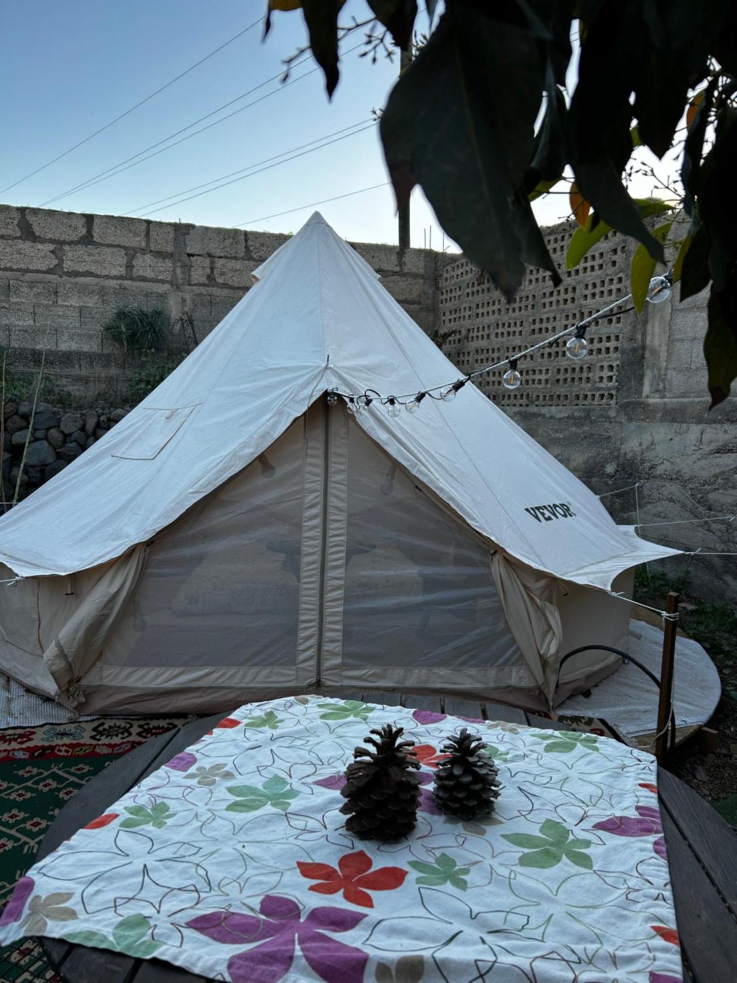 Hotel Yurt In Avocado Garden Güimar Exterior foto