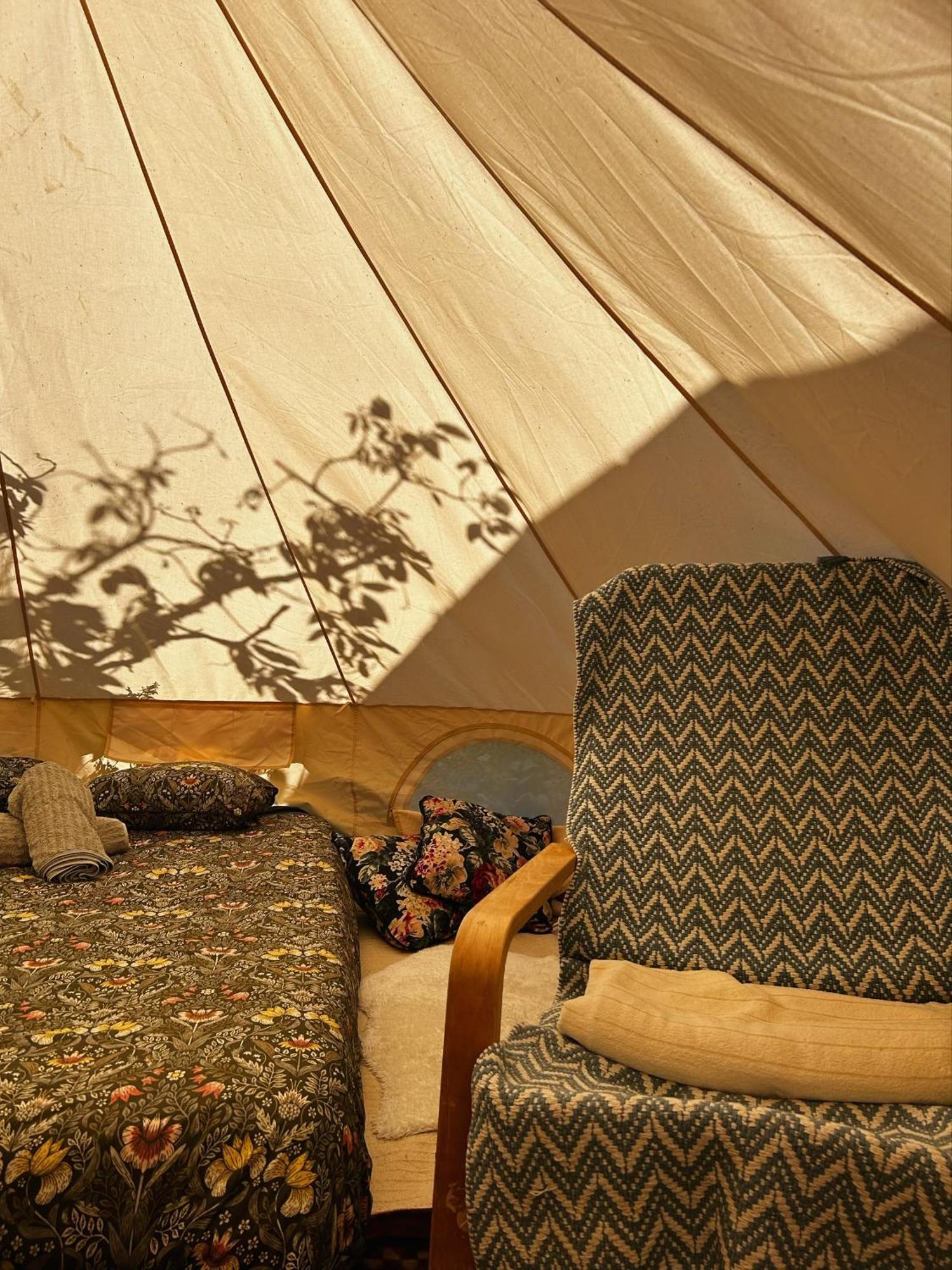 Hotel Yurt In Avocado Garden Güimar Exterior foto