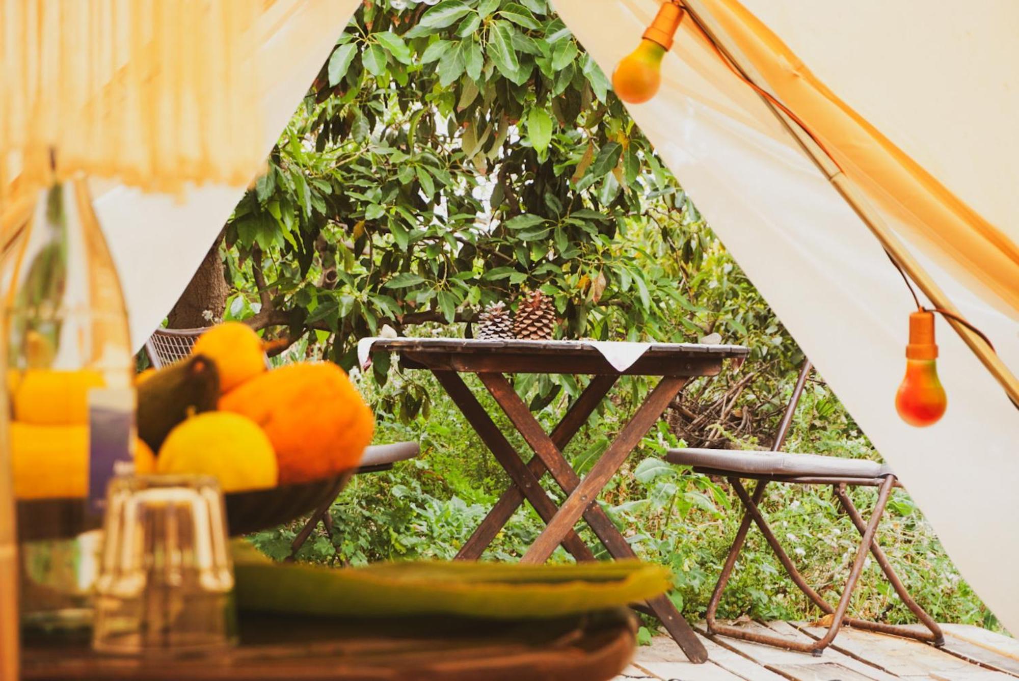 Hotel Yurt In Avocado Garden Güimar Exterior foto